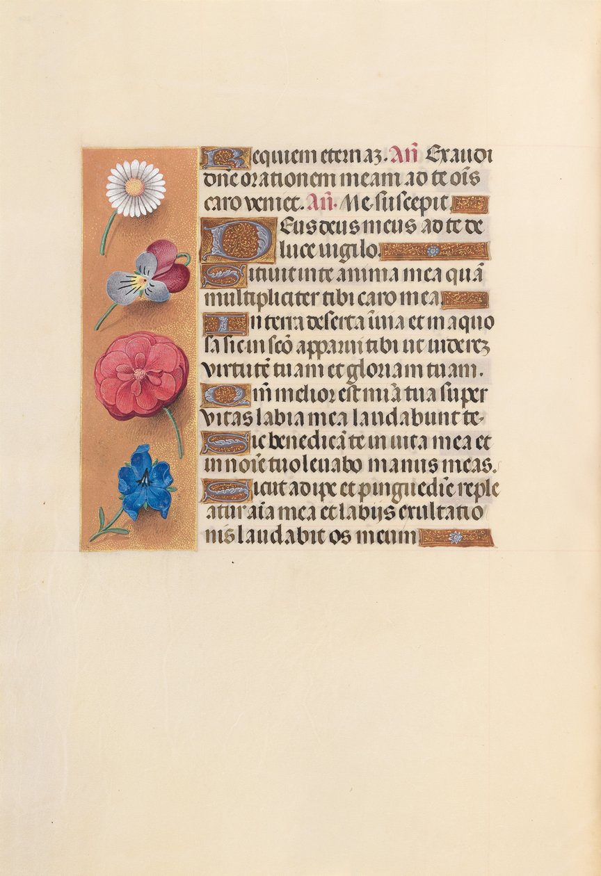 Godziny królowej Izabeli Katolickiej, królowej Hiszpanii: Fol. 249v, ok. 1500. autorstwa Master of the First Prayerbook of Maximillian