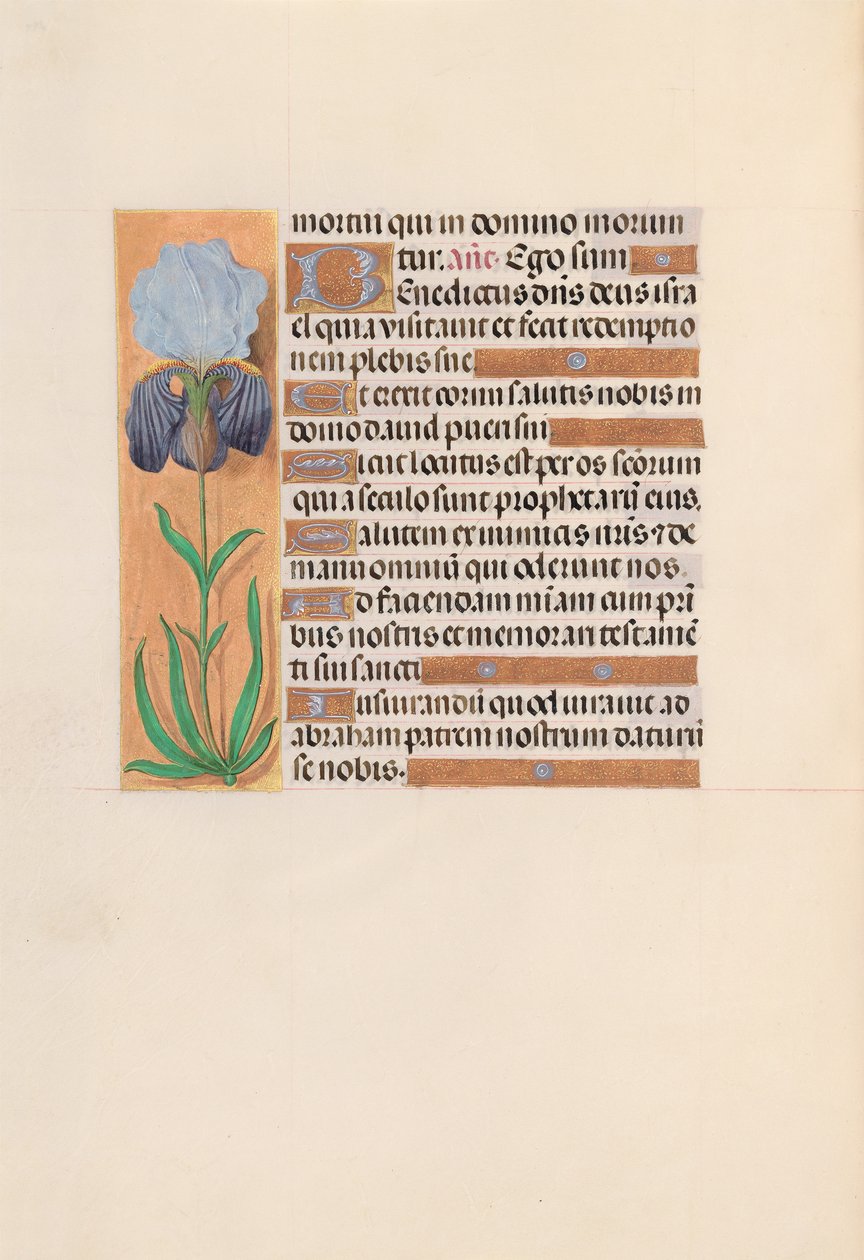 Godziny królowej Izabeli Katolickiej, królowej Hiszpanii: Fol. 254v, ok. 1500. autorstwa Master of the First Prayerbook of Maximillian