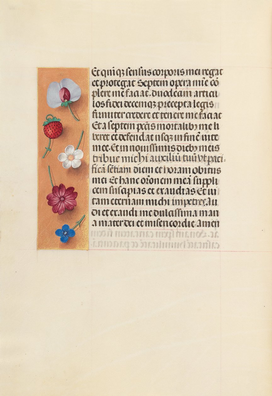 Godziny królowej Izabeli Katolickiej, królowej Hiszpanii: Fol. 260v, Pieta, c. 1500. autorstwa Master of the First Prayerbook of Maximillian