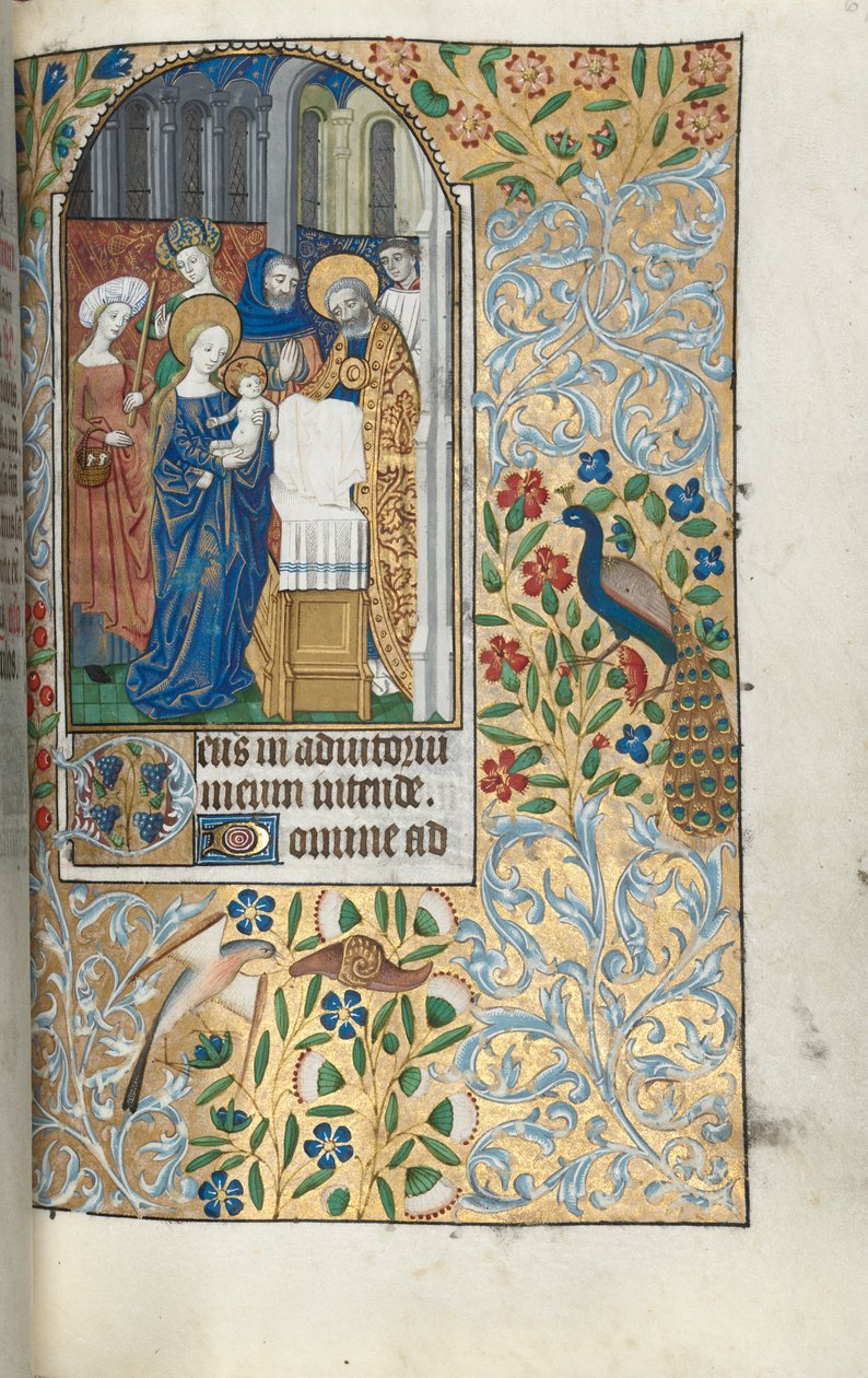 Księga godzin Korzystanie z Rouen: fol. 67r, Ofiarowanie Dzieciątka Chrystusowego w Świątyni, ok. 1930. 1470. autorstwa Master of the Geneva Latini