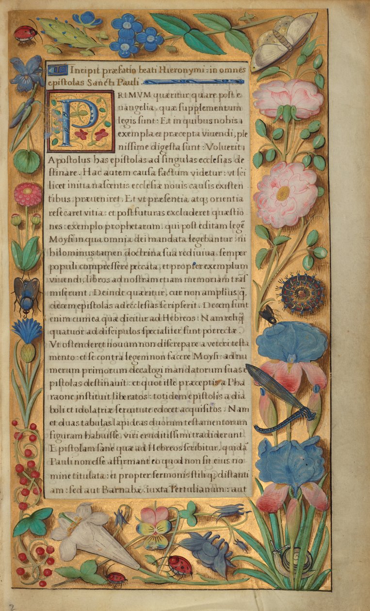 Ozdobiona strona tekstowa autorstwa Master of the Getty Epistles