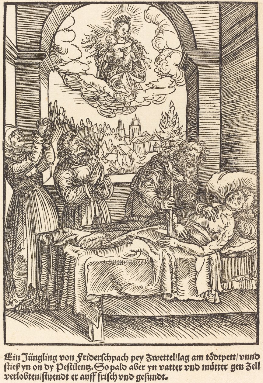 Młodzieniec z Friderschpach ... autorstwa Master of the Miracles of Mariazell