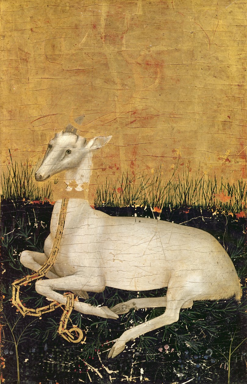 White Hart, z "Dyptyku Wiltona" ok. 1395-99 (tempera jajeczna na dębie) (verso) autorstwa Master of the Wilton Diptych