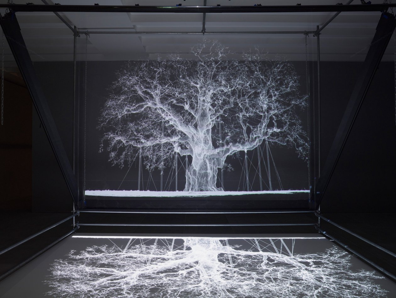 Albion, 2017 (projektor, odtwarzacz multimedialny, rusztowanie, przezroczysta folia, drewno, farba, lustro, akcesoria do rozciągania) autorstwa Mat Collishaw