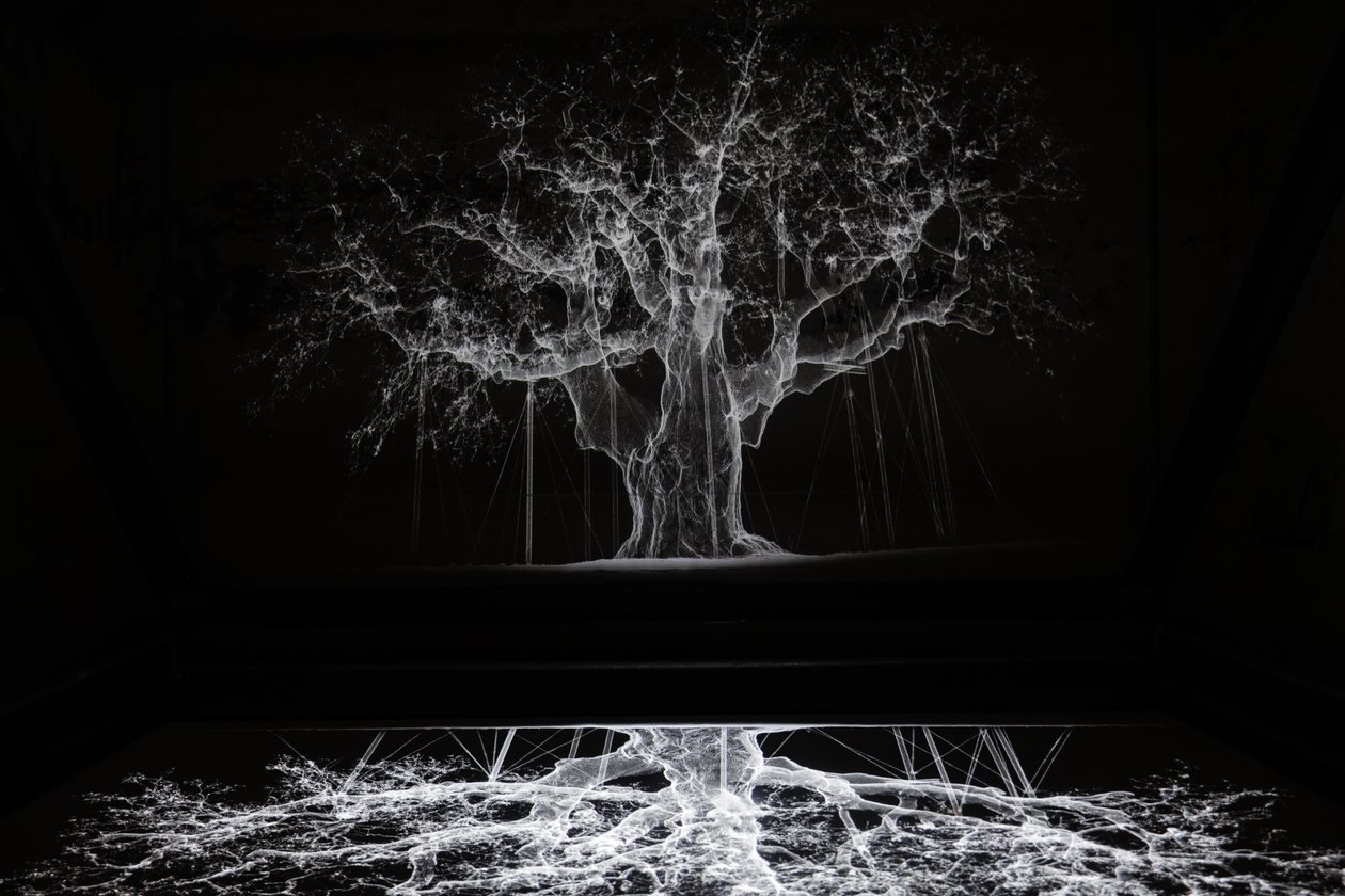 Albion, 2017 (projektor, odtwarzacz multimedialny, rusztowanie, przezroczysta folia, drewno, farba, lustro, akcesoria do rozciągania) autorstwa Mat Collishaw