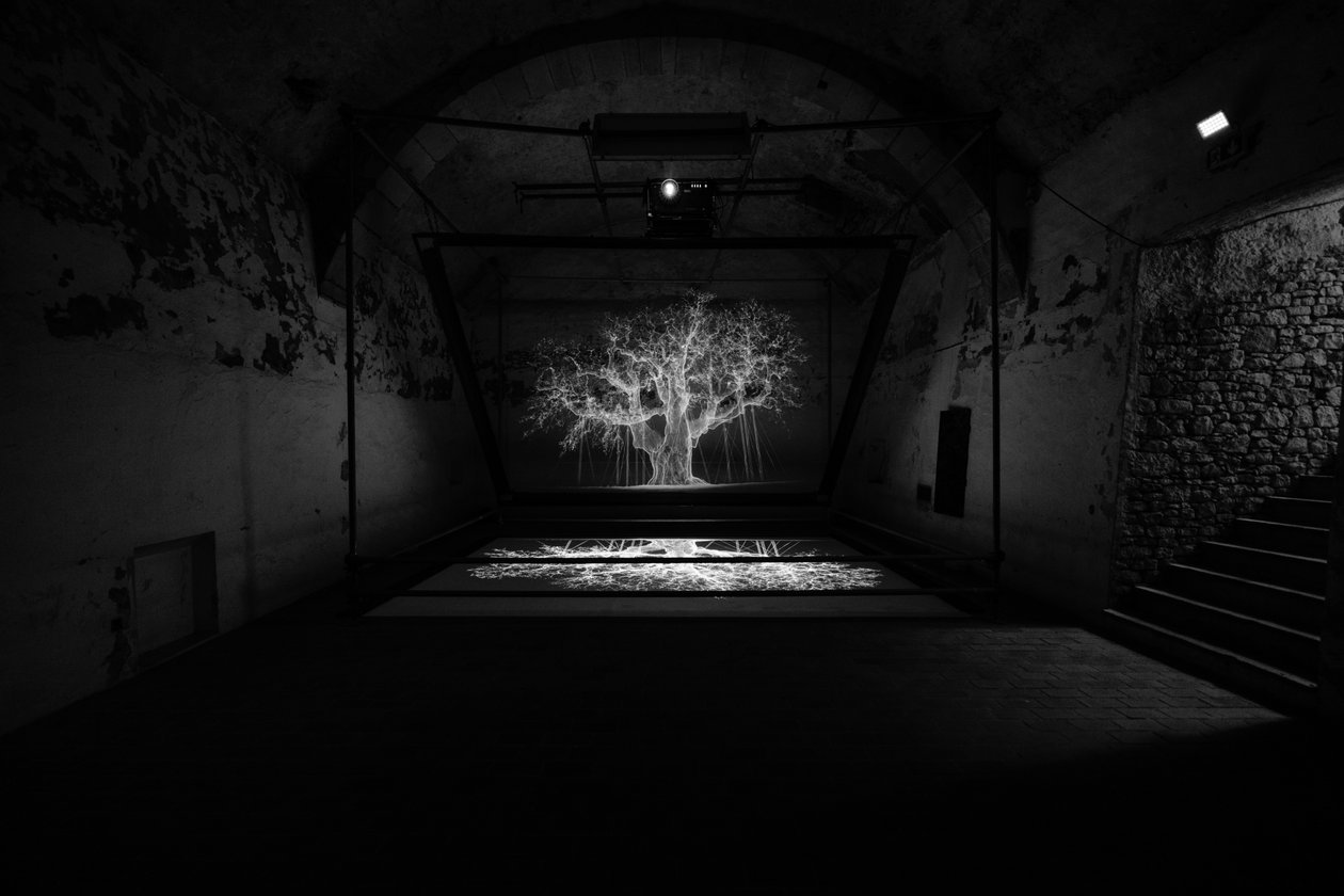 Albion, 2017 (projektor, odtwarzacz multimedialny, rusztowanie, przezroczysta folia, drewno, farba, lustro, akcesoria do rozciągania) autorstwa Mat Collishaw