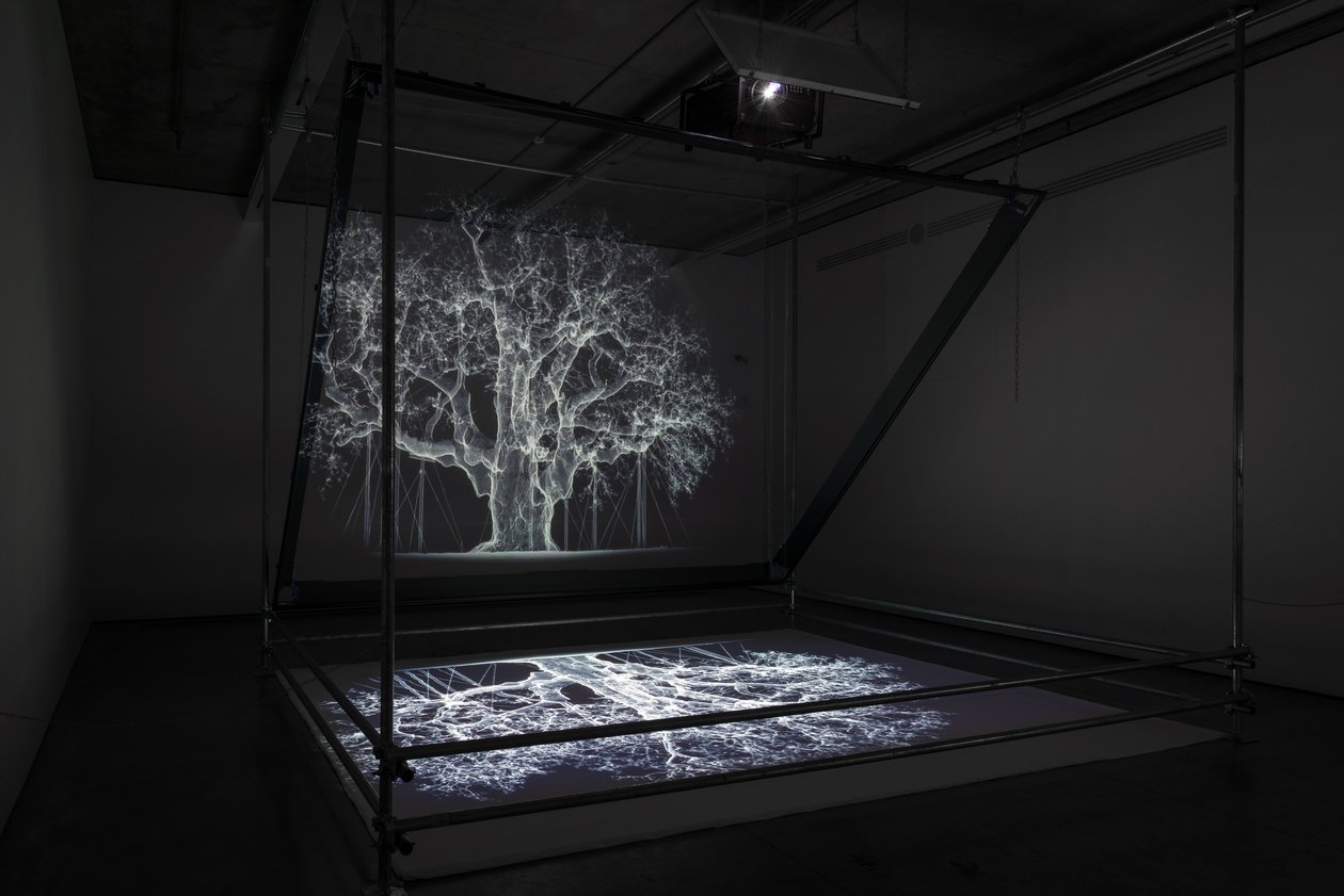 Albion, 2017 (projektor, odtwarzacz multimedialny, rusztowanie, przezroczysta folia, drewno, farba, lustro, akcesoria do rozciągania) autorstwa Mat Collishaw