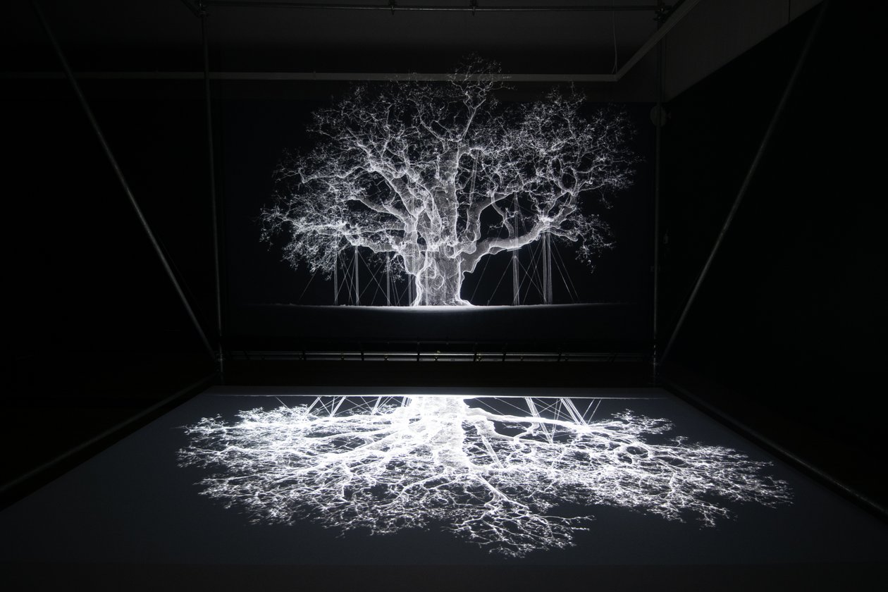 Albion na wystawie "Petrichor" autorstwa Mata Collishawa w Kew Gardens w Londynie, 2023 r. (zdjęcie ilustracyjne) autorstwa Mat Collishaw
