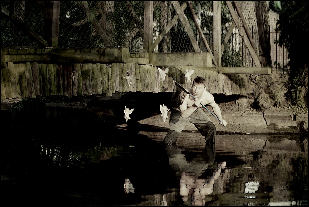 Łapanie wróżek 3 autorstwa Mat Collishaw