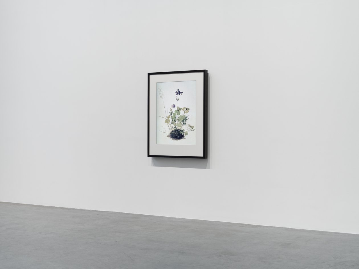 Columbine, 2018 (drewniana rama, obramowanie, ekran LCD, wentylator i odtwarzacz multimedialny) autorstwa Mat Collishaw