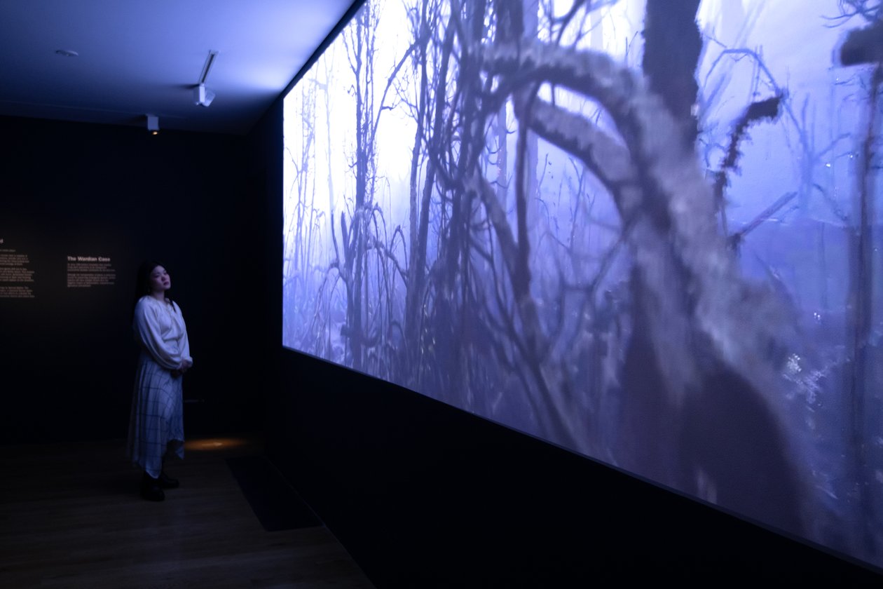 Nawet do końca, na wystawie "Petrichor" Mata Collishawa w Kew Gardens, Londyn, 2023 r. (zdjęcie) autorstwa Mat Collishaw