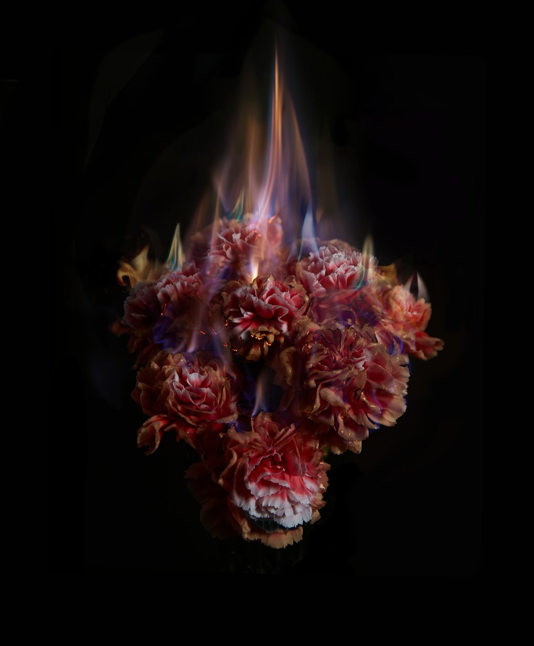 Fading Memories of the Sun, 2013 (fotografia typu C) autorstwa Mat Collishaw
