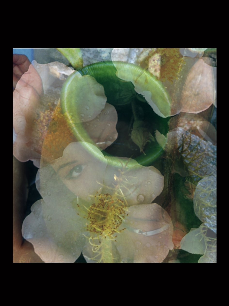Flesheaters 2 autorstwa Mat Collishaw