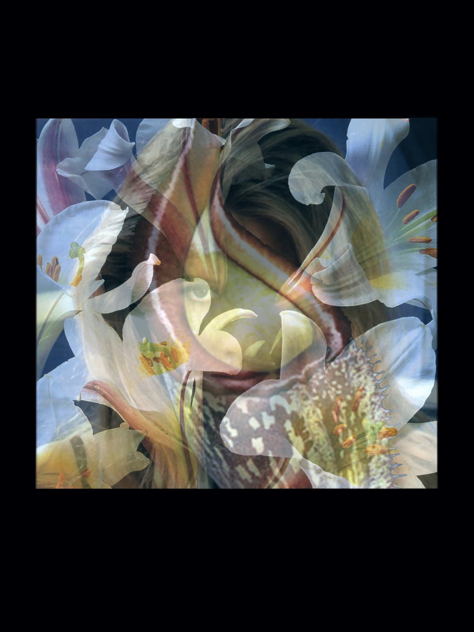 Flesheaters 3 autorstwa Mat Collishaw