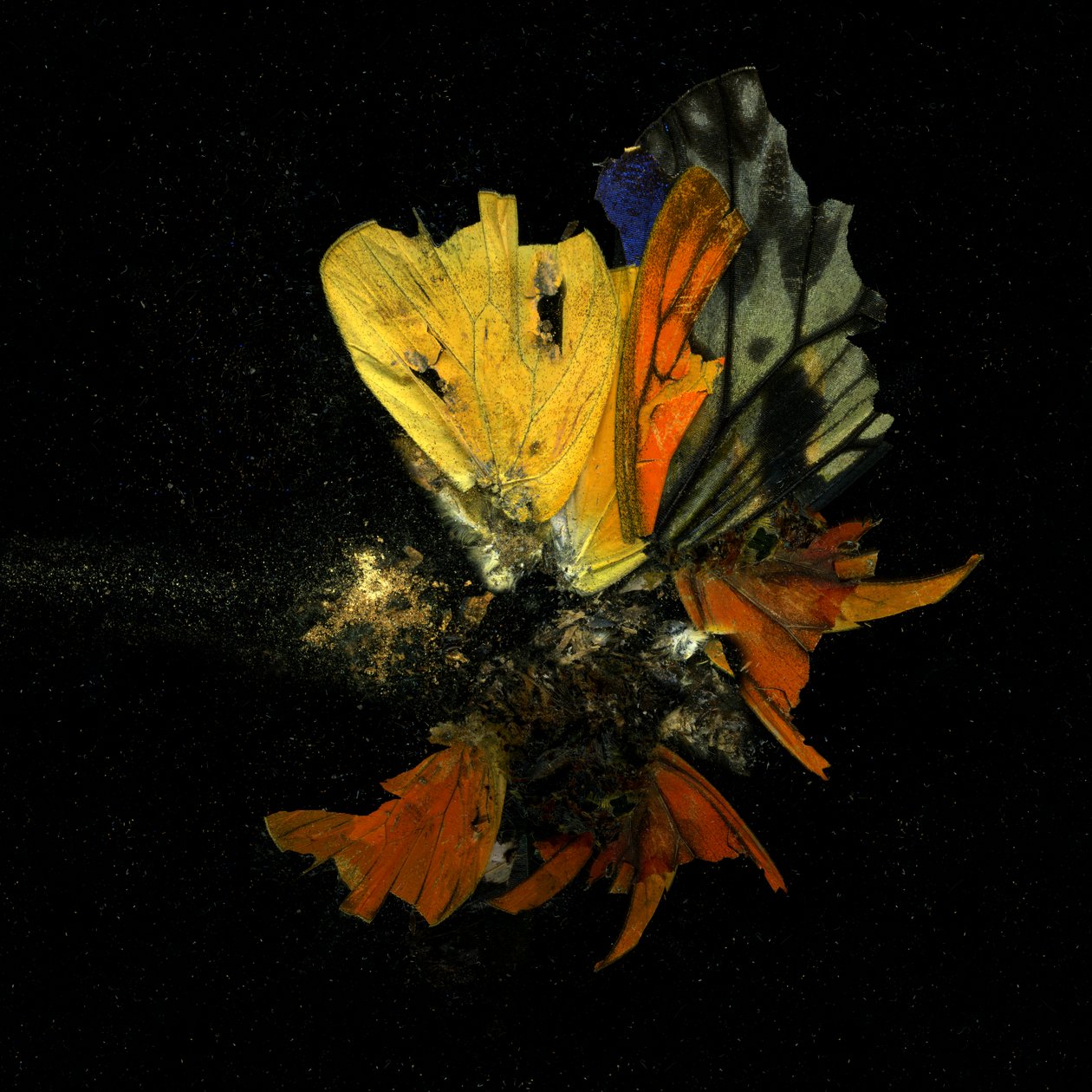 Insecticide 13, 2009 (zdjęcie typu C) autorstwa Mat Collishaw