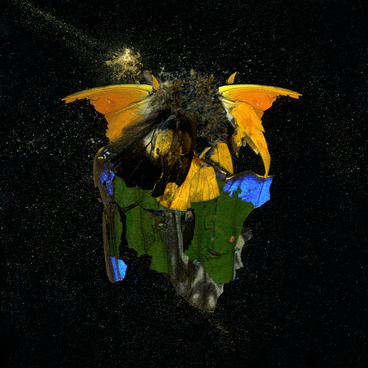 Insecticide 14, 2009 (zdjęcie typu C) autorstwa Mat Collishaw