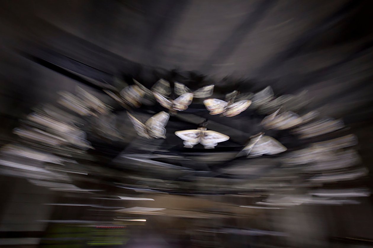 Magic Lantern, 2010 (stalowa rama, perforowana blacha aluminiowa, spieniona żywica, światła LED, silnik) autorstwa Mat Collishaw