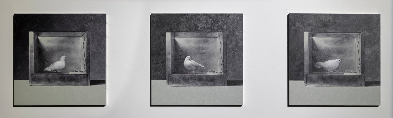 Komora warunkowania operacyjnego 3, 2022 (olej na panelu aluminiowym) autorstwa Mat Collishaw