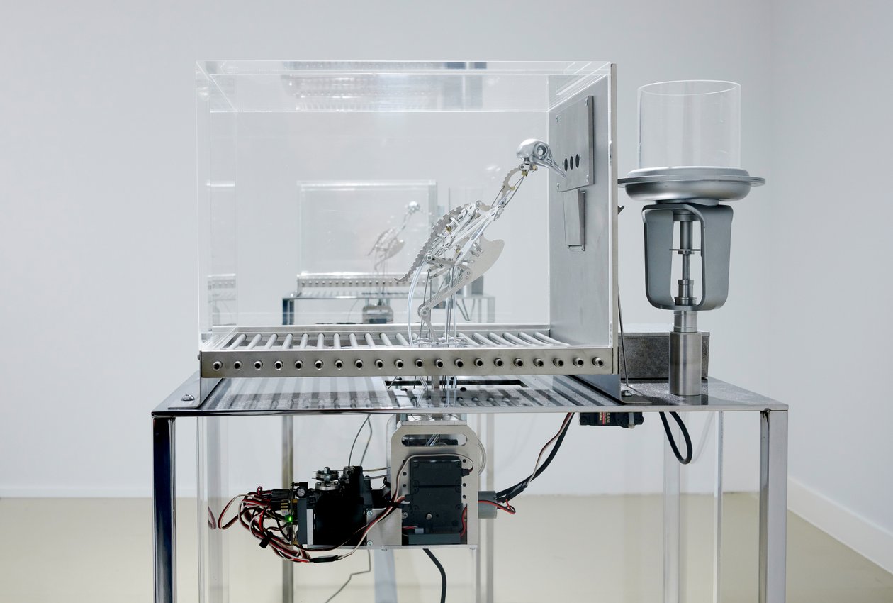 The Machine Zone, 2019 (stal, aluminium, serwomotory) autorstwa Mat Collishaw