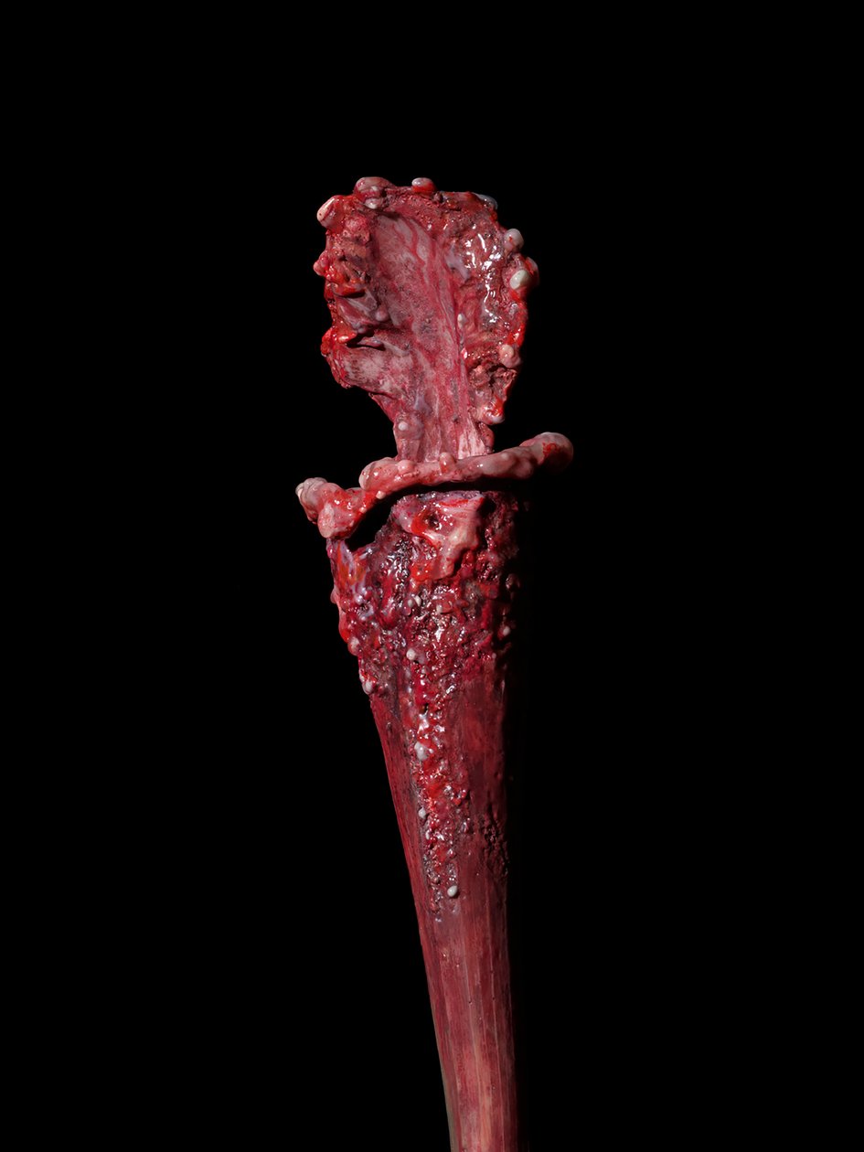 The Venal Muse, Fenside, 2012 (żywica, emalia, drewno, szkło, stal) autorstwa Mat Collishaw
