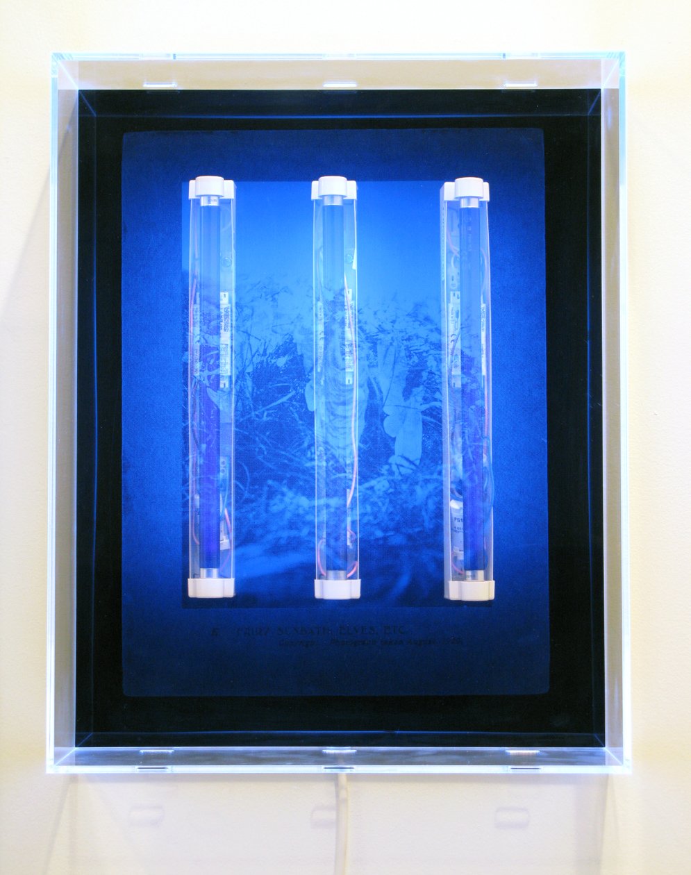 UV Garden, Fairy, Sunbath, Elves, Etc., 2008 (sitodruk na akrylu, światło UV i oprawy oświetleniowe) autorstwa Mat Collishaw