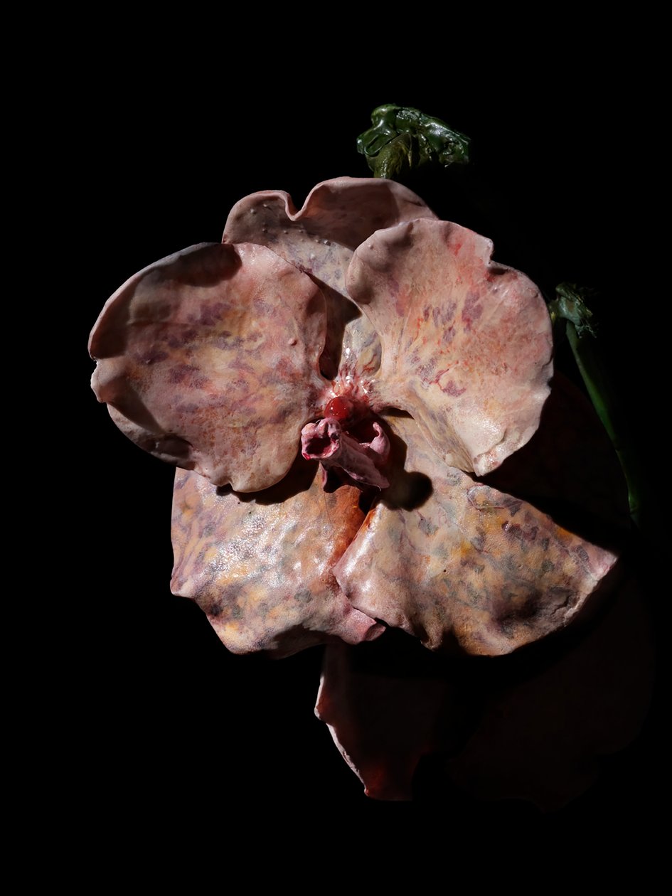 Venal Muse, Impetus, 2012 (żywica, emalia, drewno, szkło, stal) autorstwa Mat Collishaw