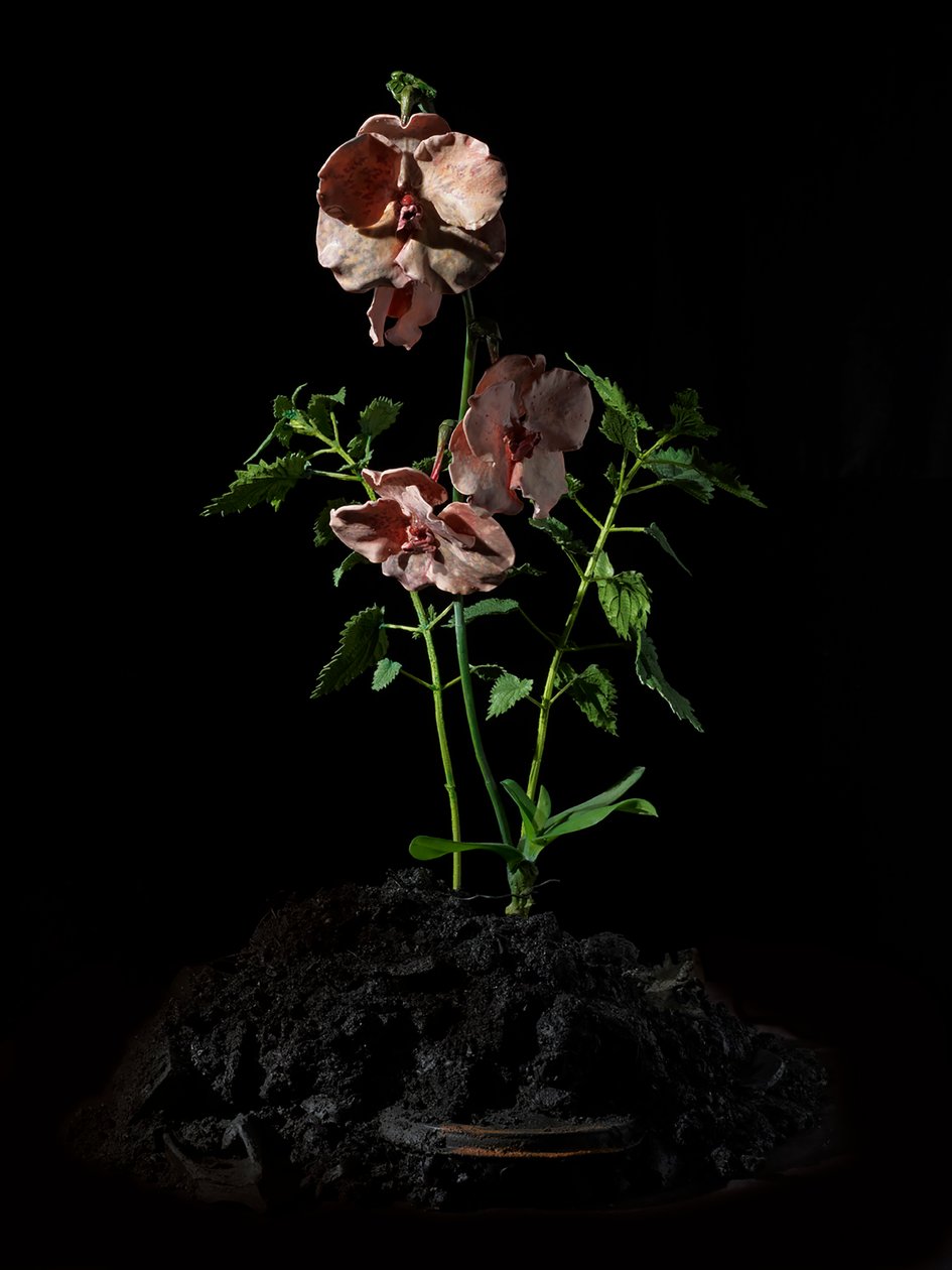 Venal Muse, Impetus, 2012 (żywica, emalia, drewno, szkło, stal) autorstwa Mat Collishaw