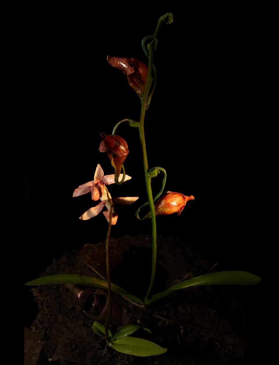 Venal Muse, Lafage, 2012 (żywica, emalia, drewno, szkło, stal) autorstwa Mat Collishaw