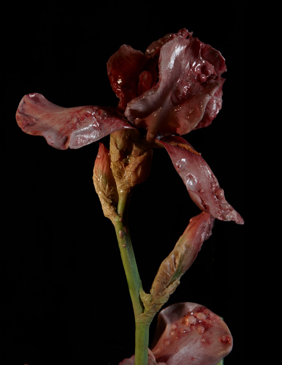 Venal Muse, Viridor, 2012 (żywica, emalia, drewno, szkło, stal) autorstwa Mat Collishaw