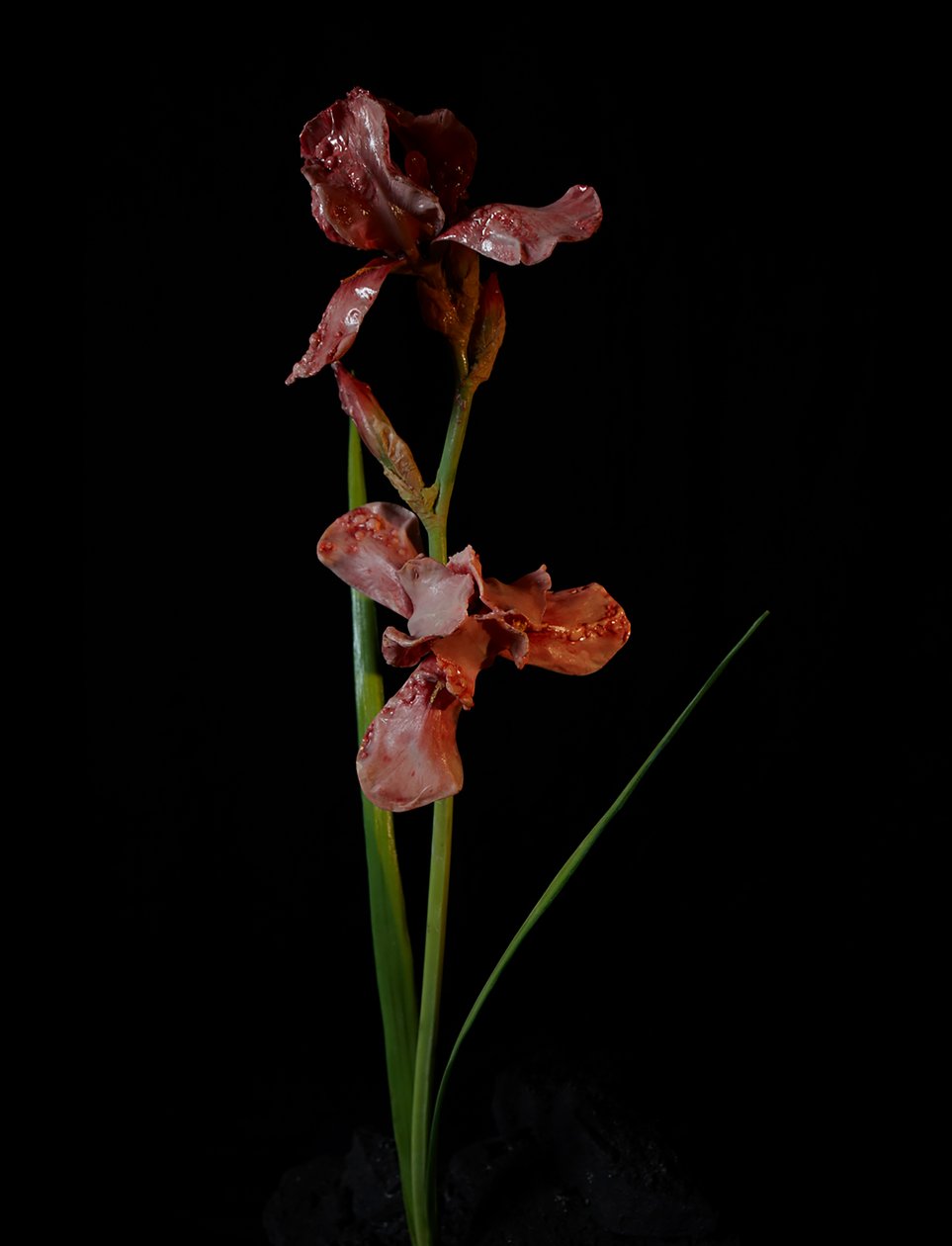 Venal Muse, Viridor, 2012 (żywica, emalia, drewno, szkło, stal) autorstwa Mat Collishaw