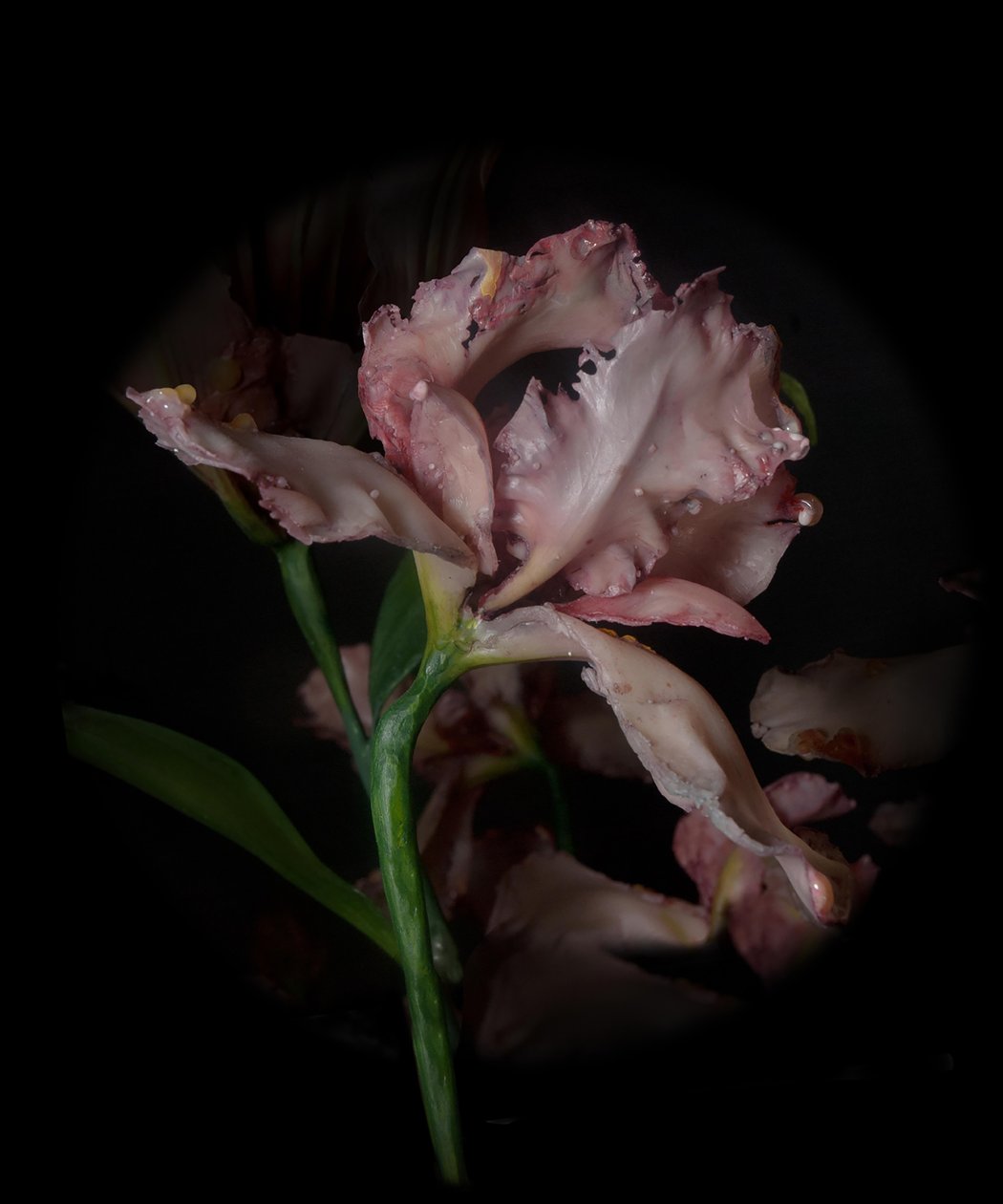 Venal Muse, Viridor, 2012 (żywica, emalia, drewno, szkło, stal) autorstwa Mat Collishaw