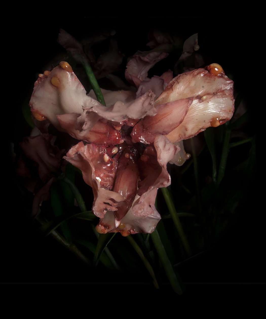 Venal Muse, Viridor, 2012 (żywica, emalia, drewno, szkło, stal) autorstwa Mat Collishaw