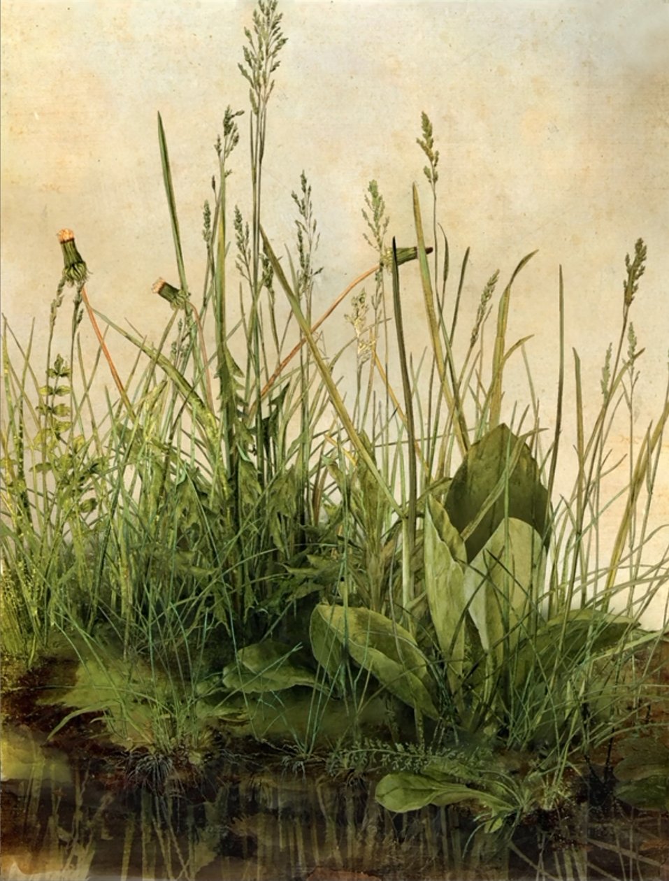 Whispering Weeds, 2011 (drewniana rama, obramowanie, ekran LCD, wentylator i dysk twardy) autorstwa Mat Collishaw