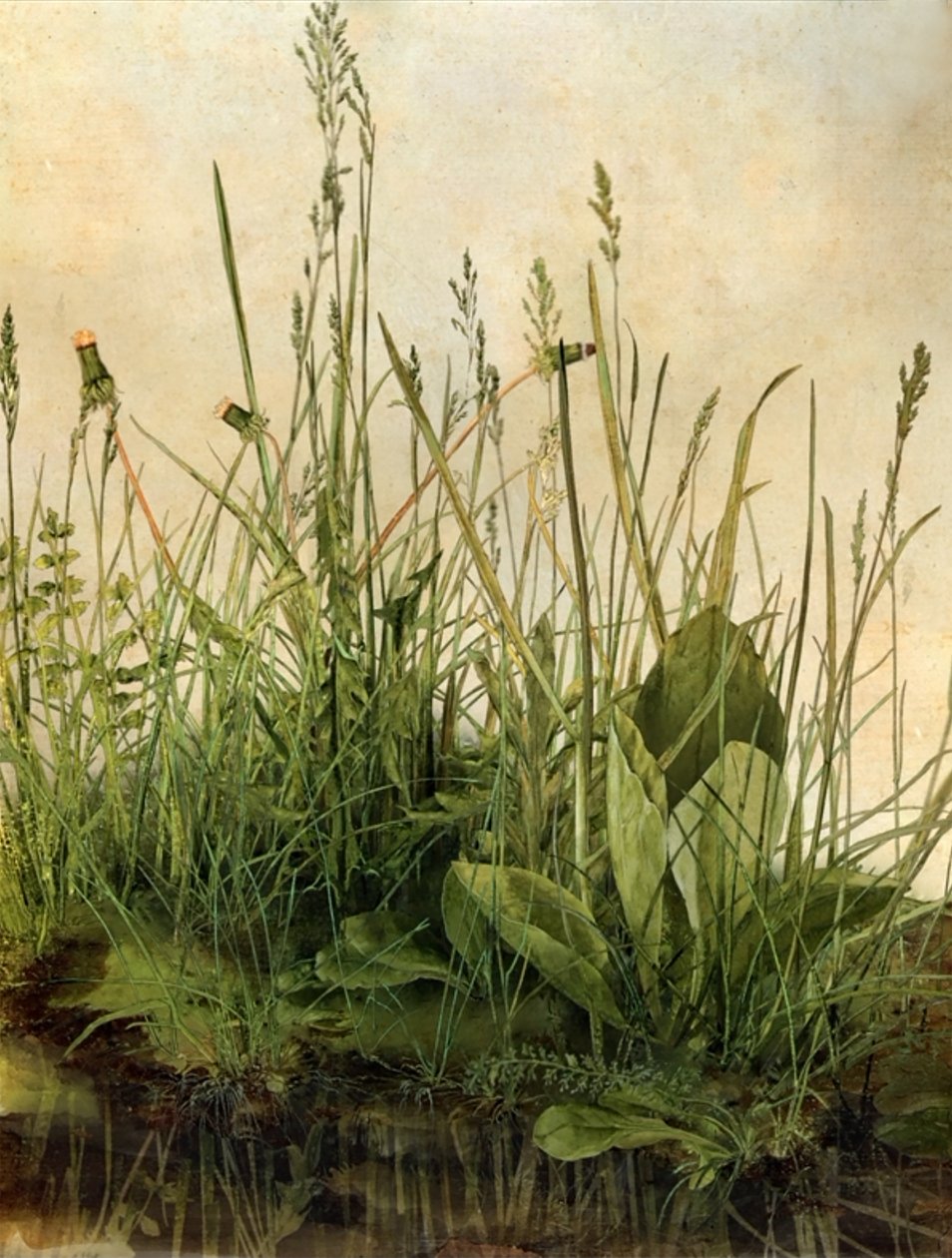 Whispering Weeds, 2011 (drewniana rama, obramowanie, ekran LCD, wentylator i dysk twardy) autorstwa Mat Collishaw