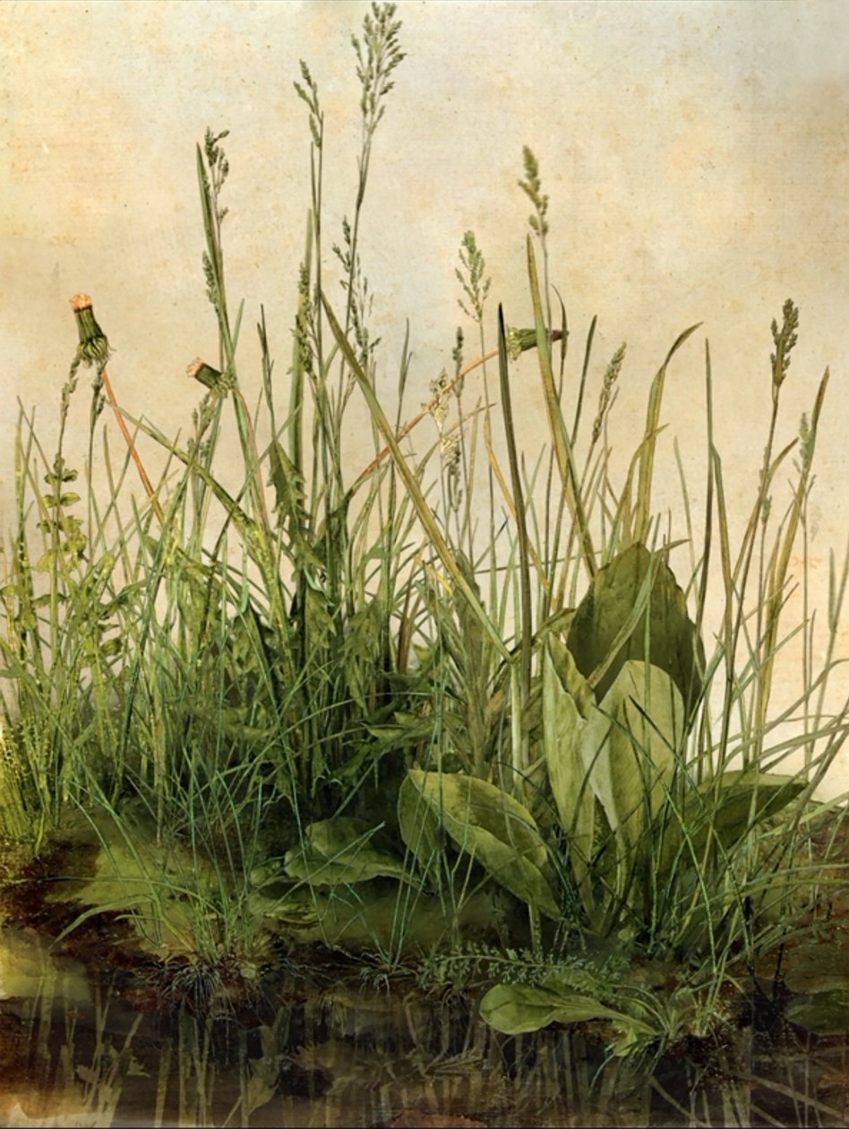 Whispering Weeds, 2011 (drewniana rama, obramowanie, ekran LCD, wentylator i dysk twardy) autorstwa Mat Collishaw