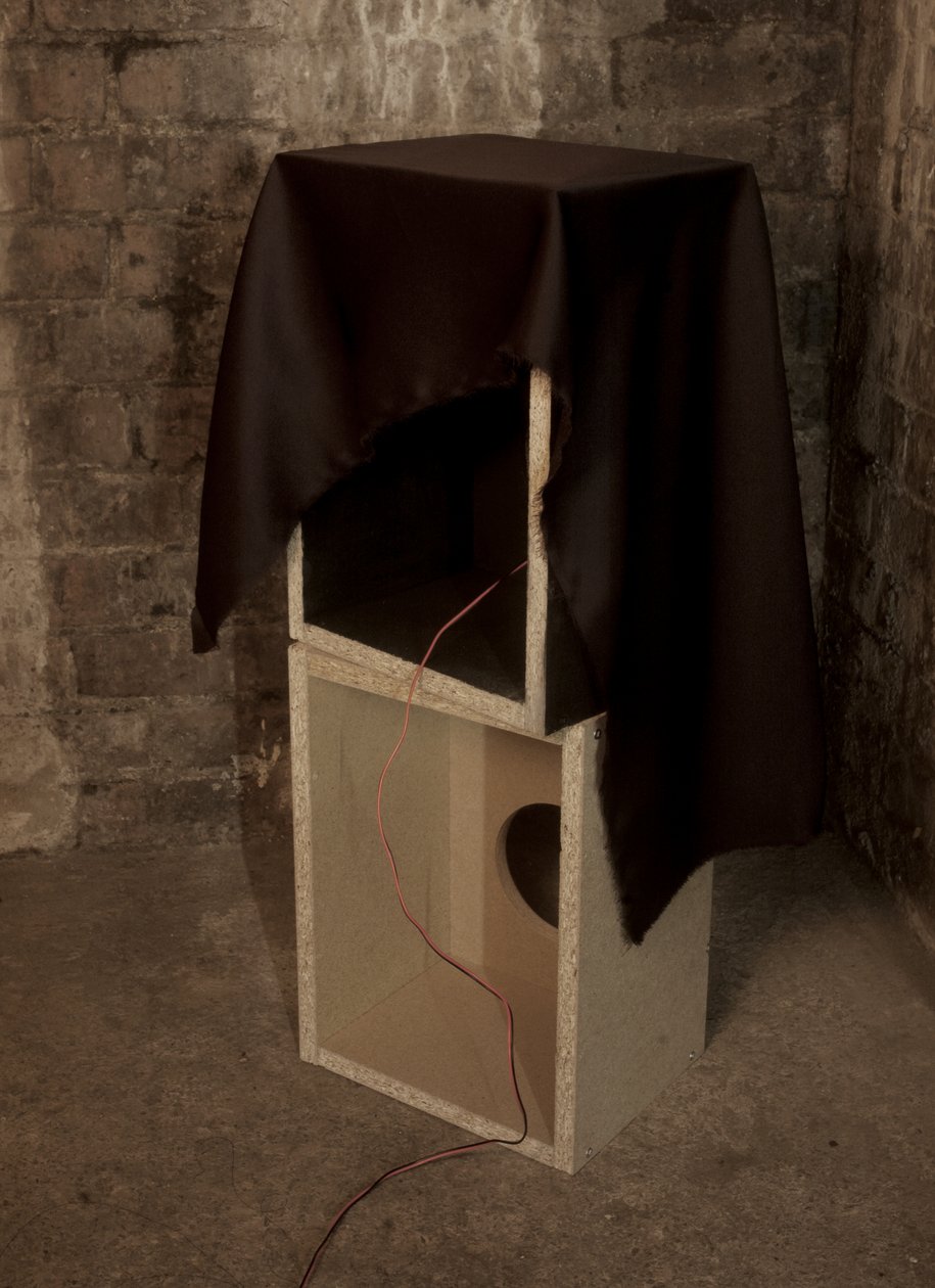 Widow autorstwa Mat Collishaw