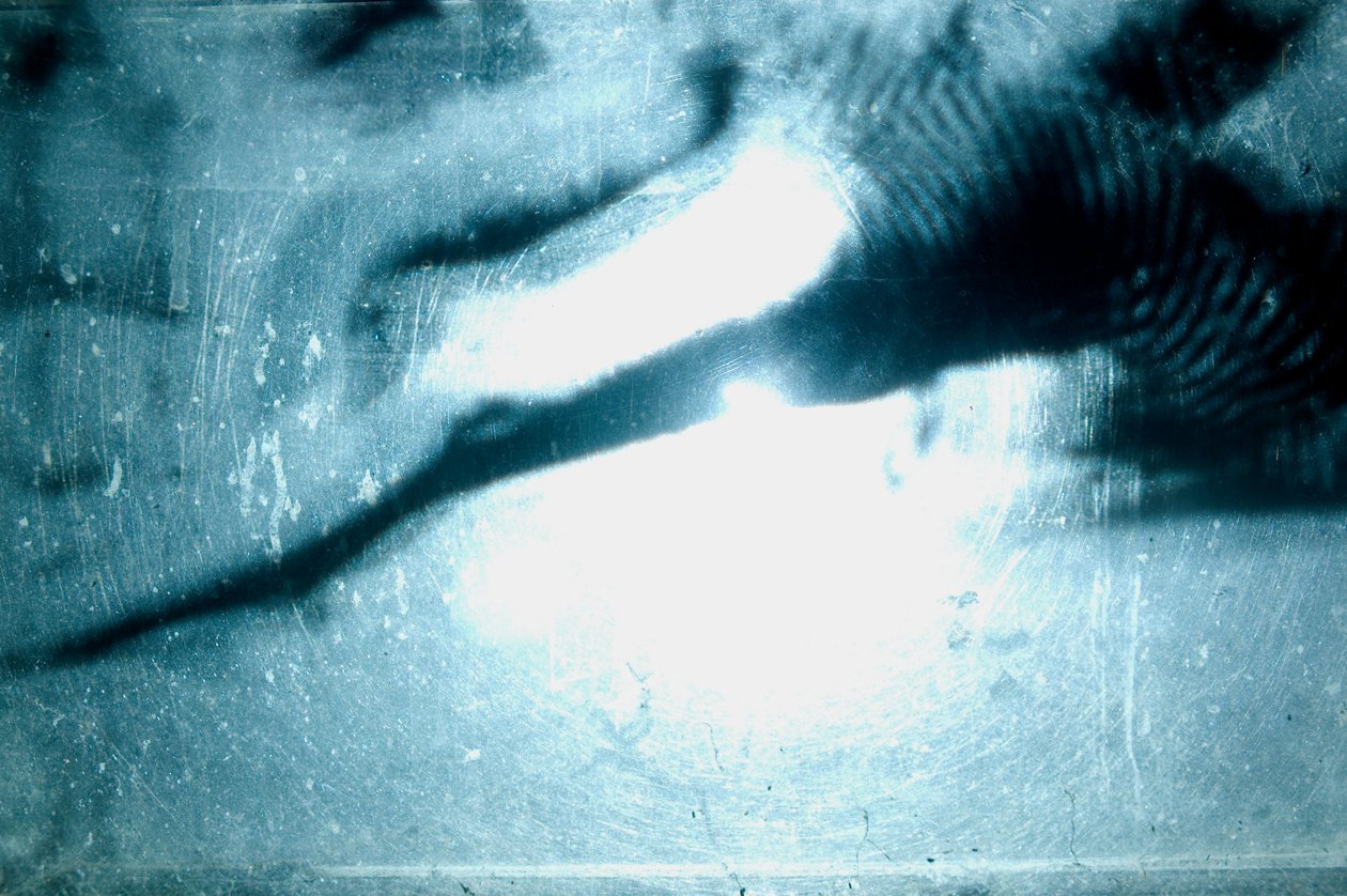 Wormery, 2009 (drewno, szkło, stal, projektor i odtwarzacz) autorstwa Mat Collishaw