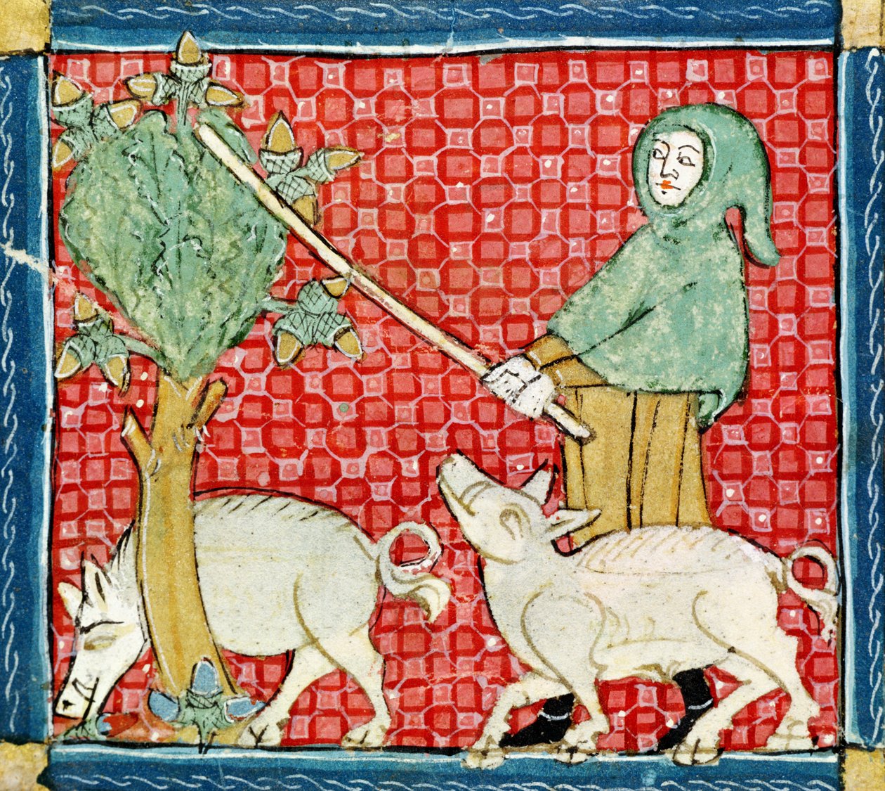 Fol.59v Listopad: Zbieranie żołędzi autorstwa Matfre Ermengaut