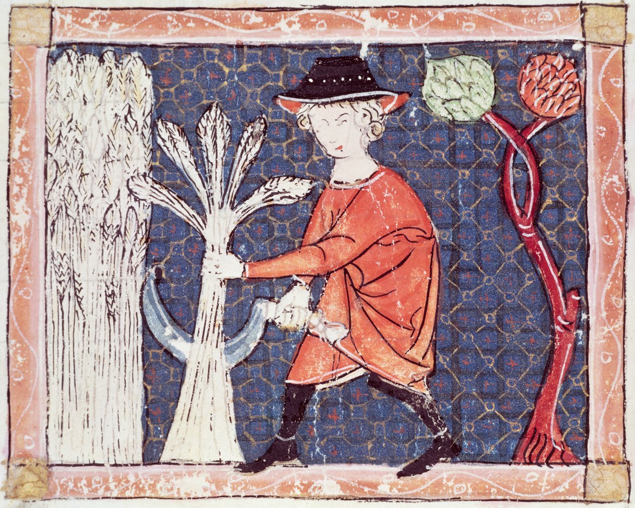 Fol.58v Lipiec: Żniwa autorstwa Matfre Ermengaut