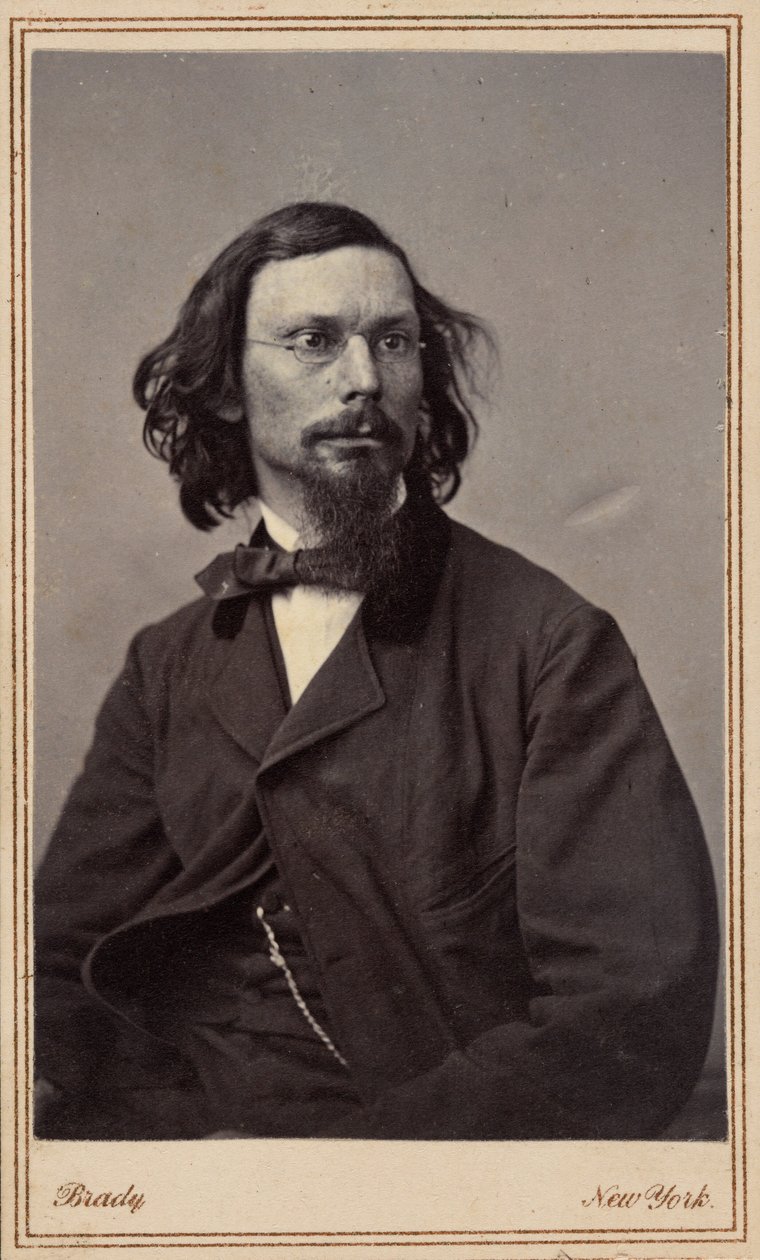 George Inness autorstwa Mathew B. Brady