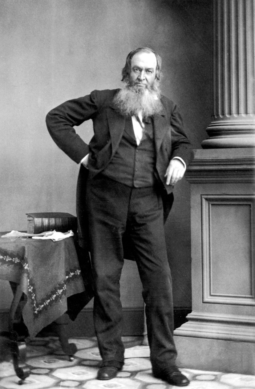 Gerrit Smith: amerykański polityk, Nowy Jork autorstwa Mathew B. Brady