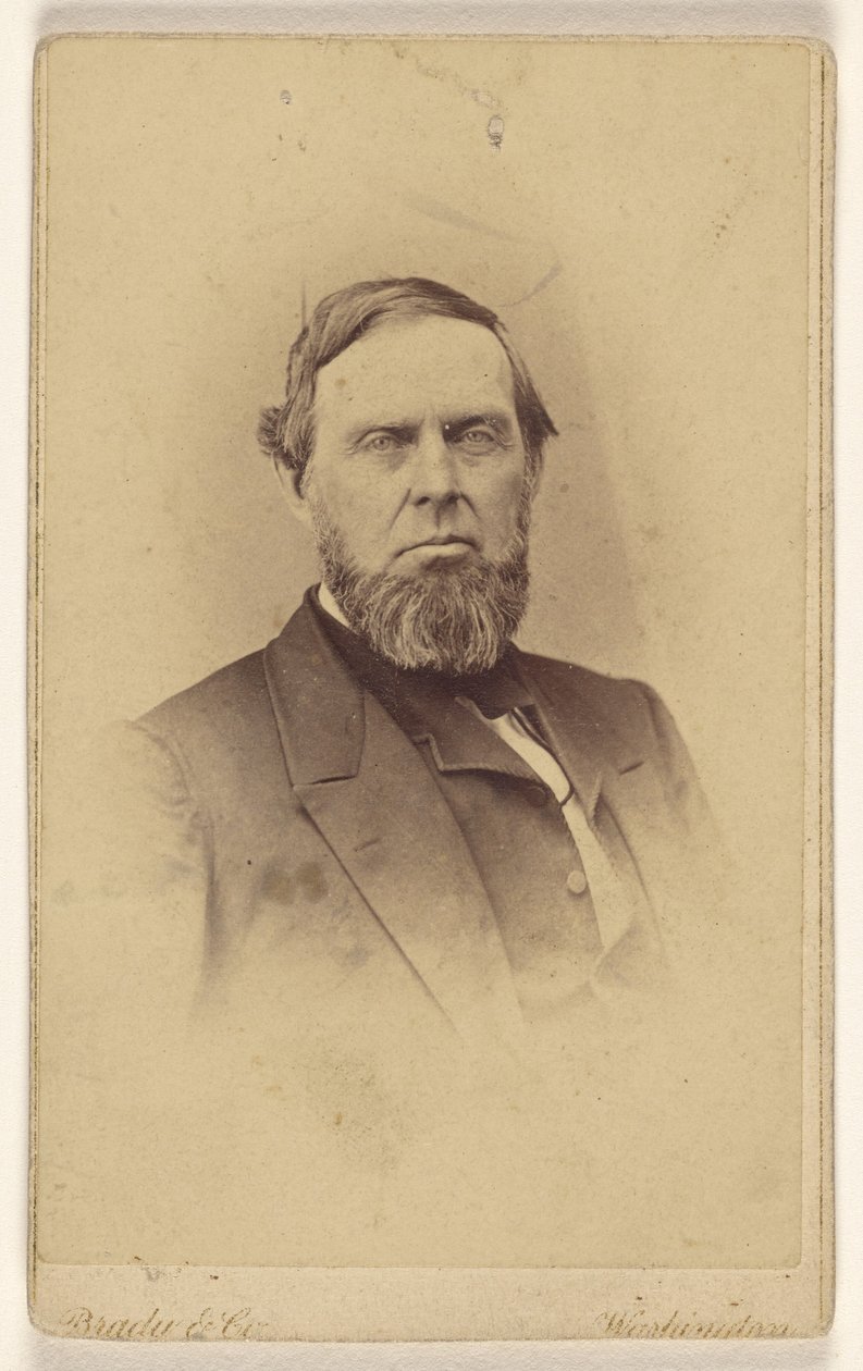 [Nieznany brodaty mężczyzna, przedstawiony w stylu winiety] autorstwa Mathew B. Brady