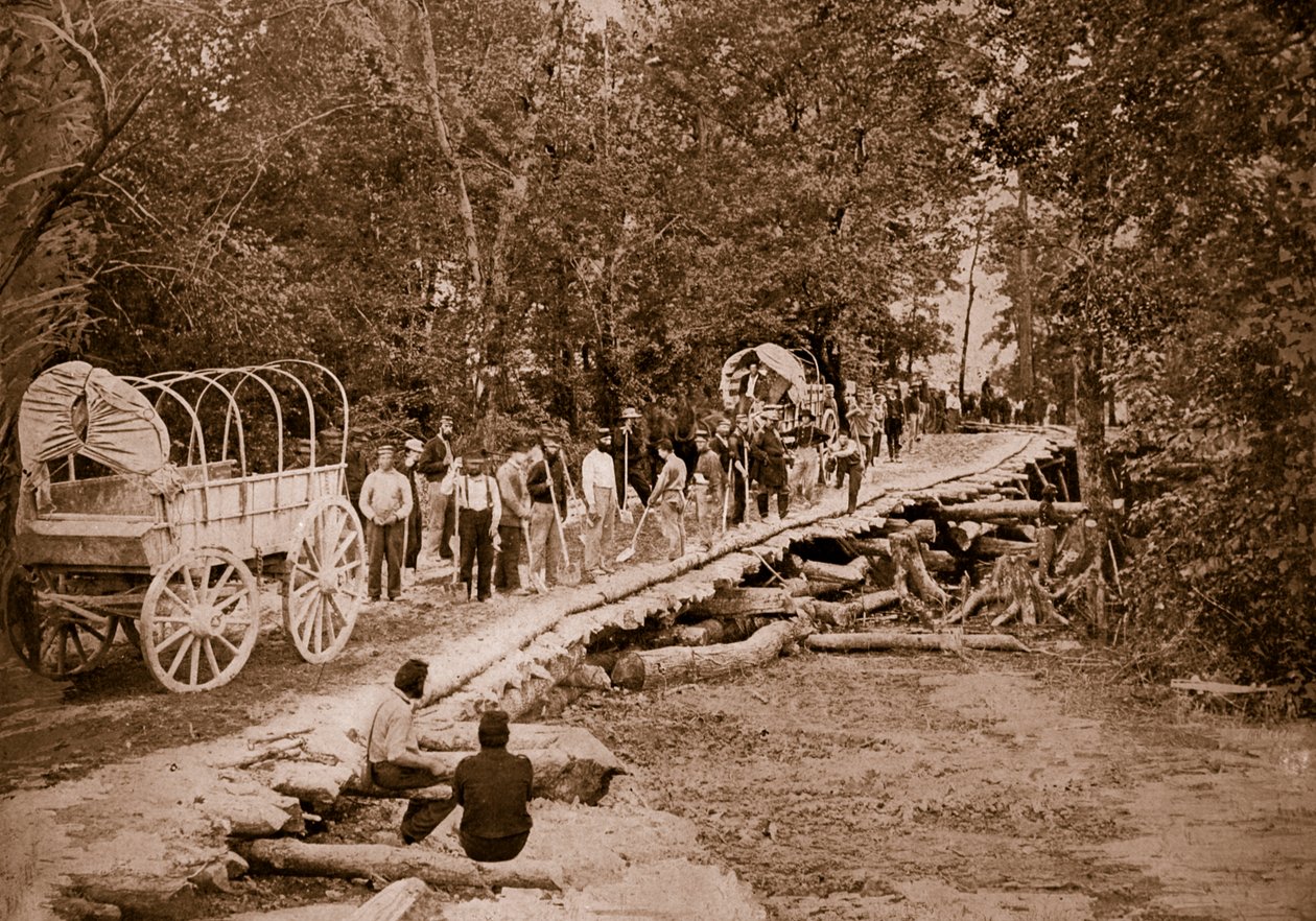 Grape Vine Bridge zbudowany przez amerykańskich inżynierów, 1861-65 autorstwa Mathew B. Brady