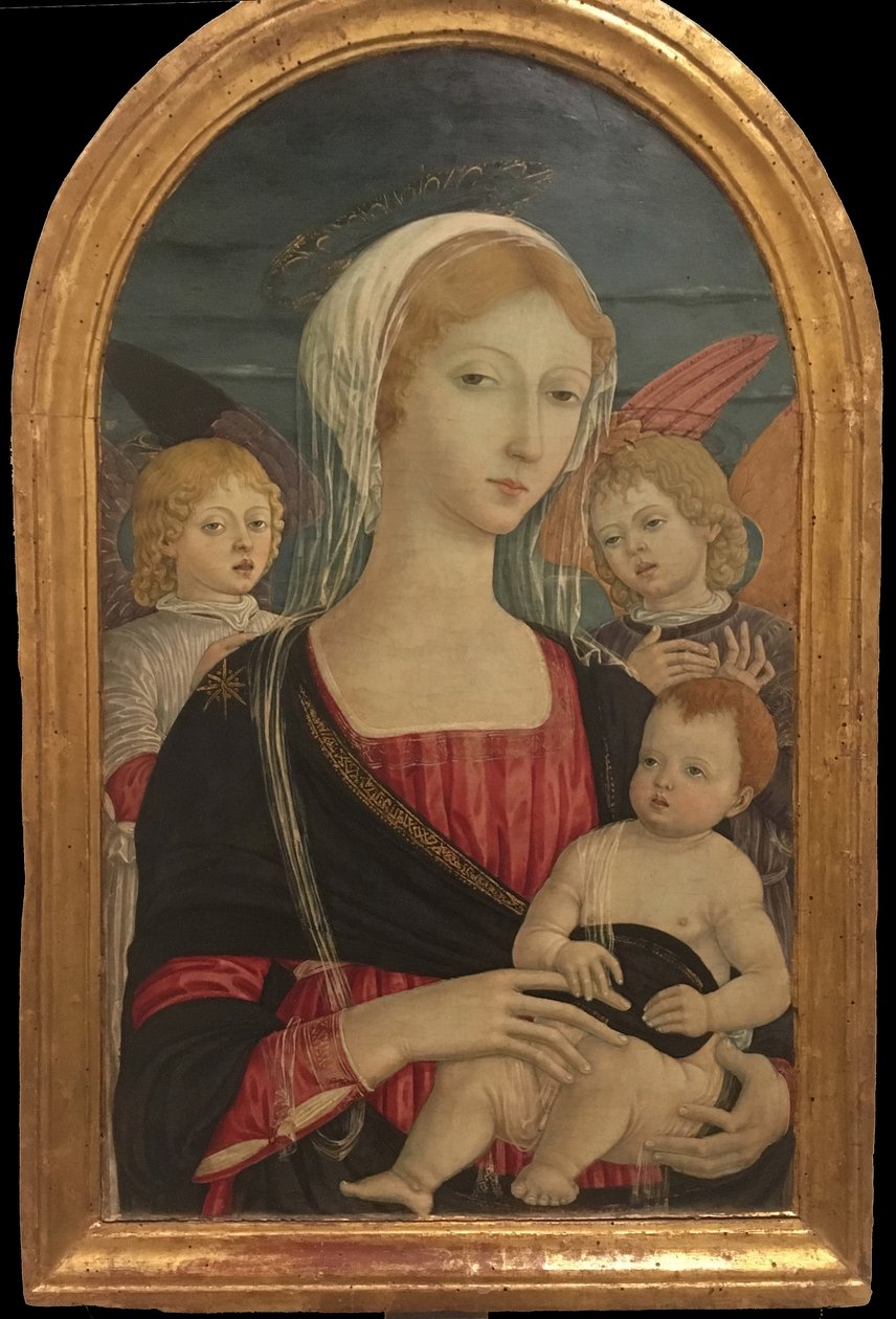 Matteo di Giovanni, Madonna z Dzieciątkiem i dwoma aniołami autorstwa Matteo di Giovanni