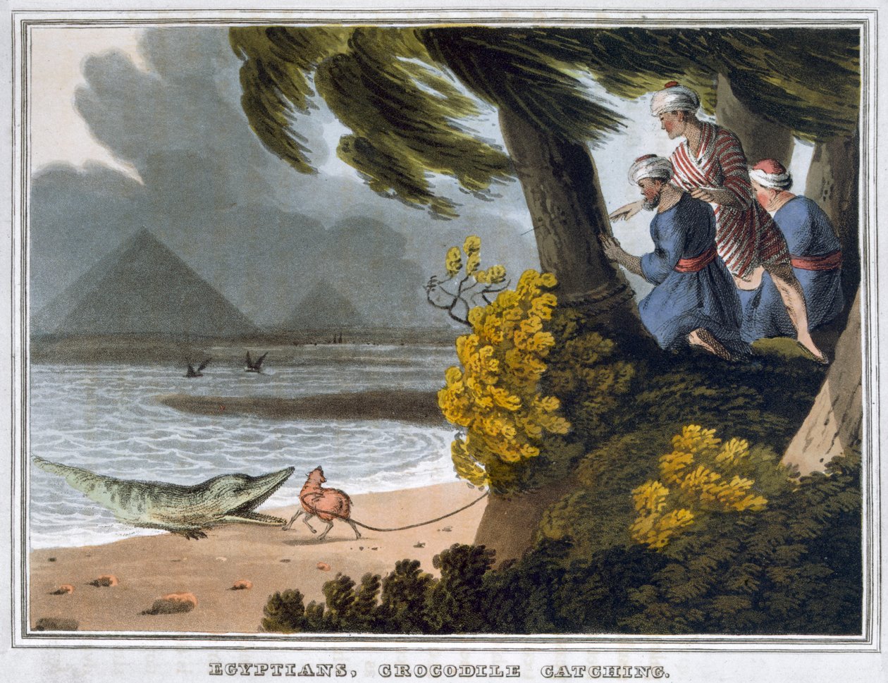 „Egipcjanie, łapanie krokodyli”, 1813 autorstwa Matthew Dubourg