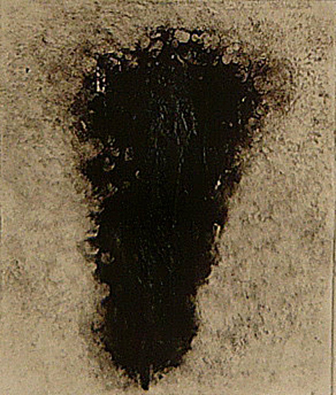 ossie, 2009 (helioprint) autorstwa Matthew Hilton
