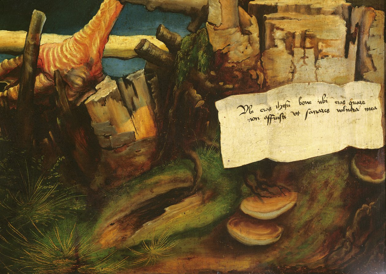 Fragment kuszenia św. Antoniego z Ołtarza Isenheim, ok. 1512-16, olej na panelu autorstwa Matthias Grünewald