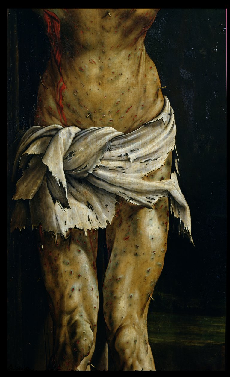 Ukrzyżowanie z Ołtarza z Isenheim, fragment ciała Chrystusa, ok. 1512-16 olej na fragmencie panelu autorstwa Matthias Grünewald