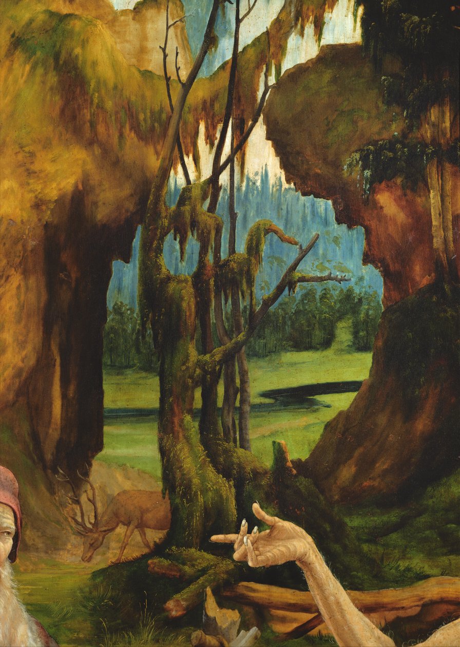 Wizyta św. Antoniego u św. Pawła pustelnika. Fragment dłoni św. Pawła z ołtarza Isenheim, ok. 1512-16 olej na drewnie autorstwa Matthias Grünewald