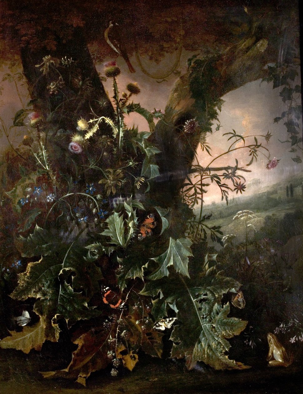 Martwa natura z żabą i szczygiełem autorstwa Matthias Withoos